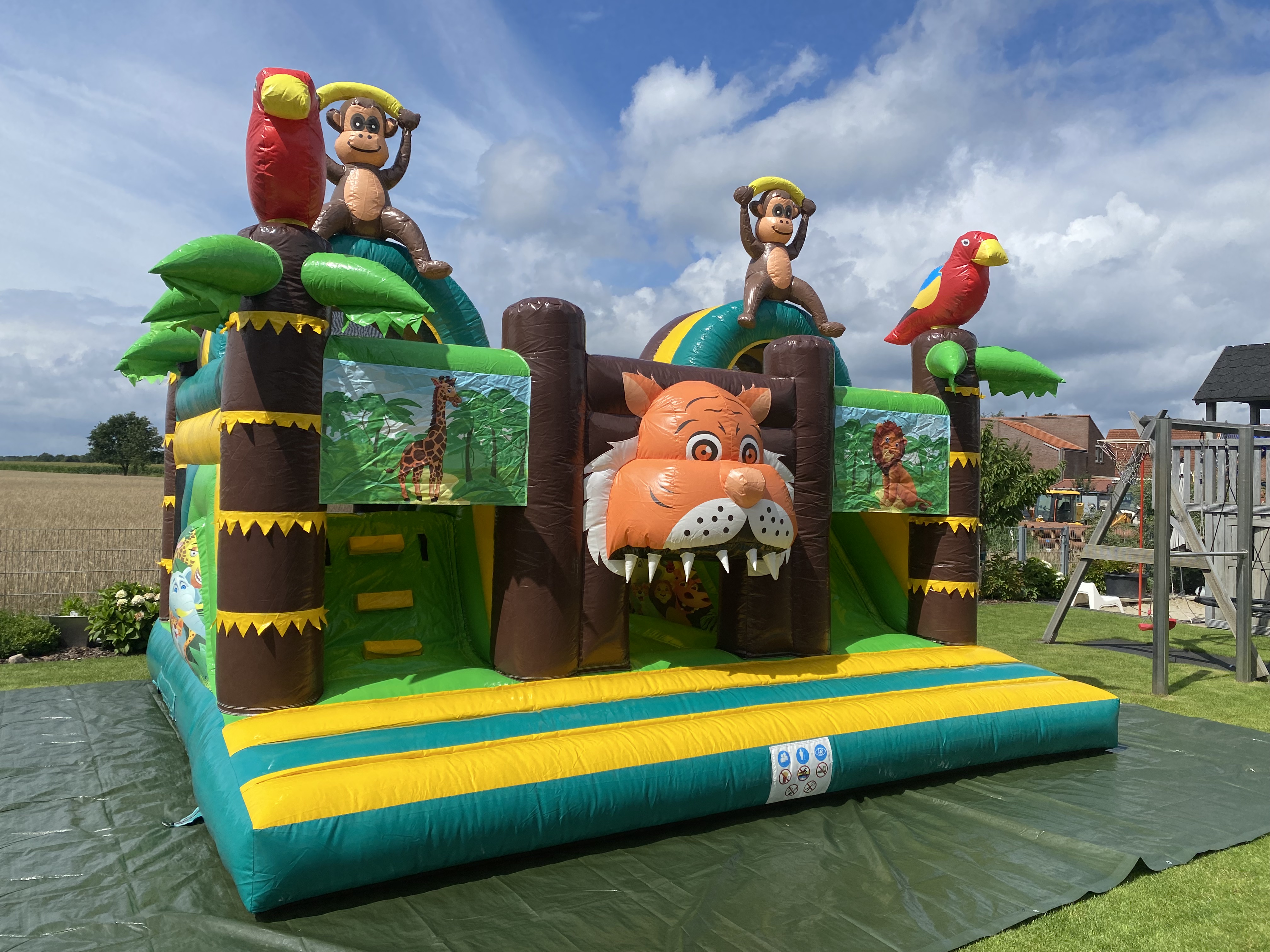 Dschungel mit zwei Rutschen