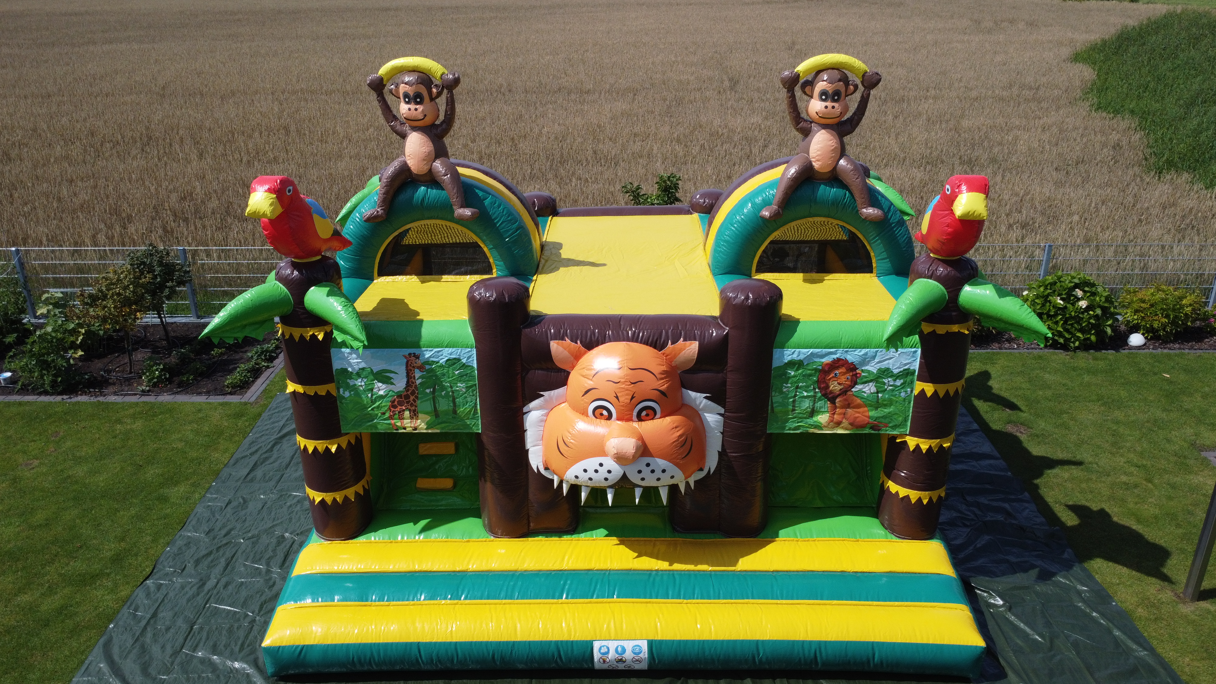 Dschungel mit zwei Rutschen