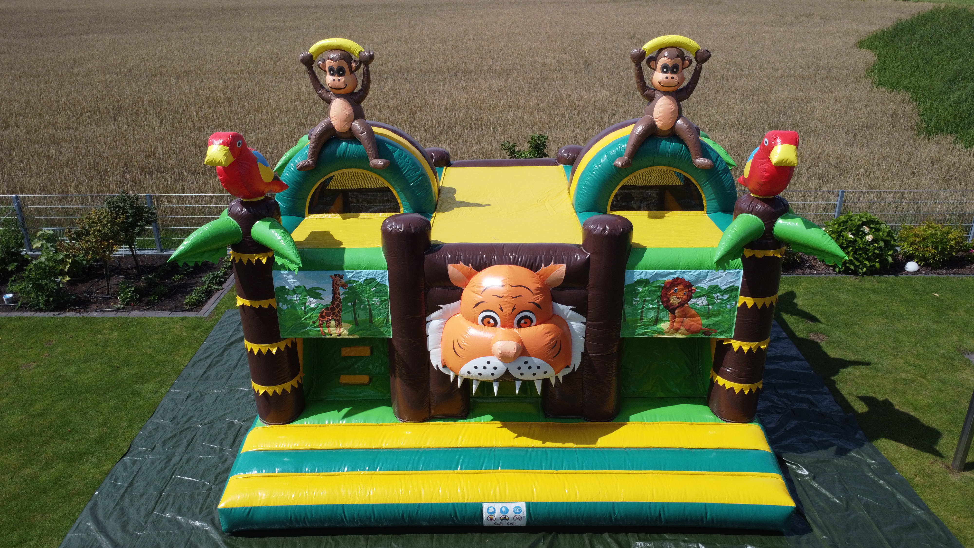 Dschungel mit zwei Rutschen
